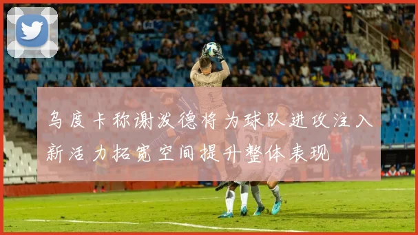 乌度卡称谢泼德将为球队进攻注入新活力拓宽空间提升整体表现